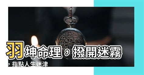 羽坤命理